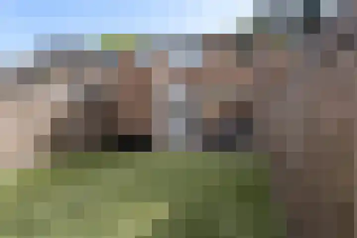 Hoekakker 21 Breda thumbnail 31