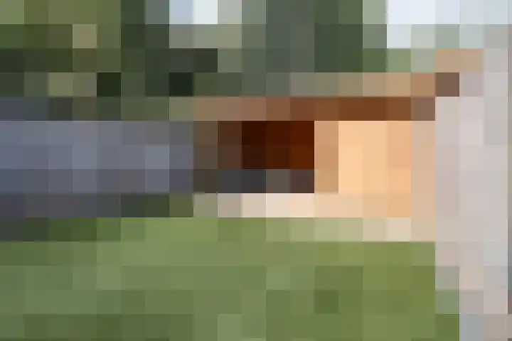 Hoekakker 21 Breda thumbnail 4