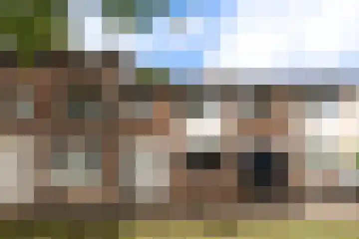 Hoekakker 21 Breda thumbnail 5