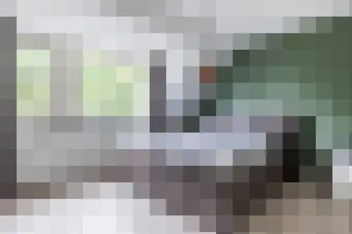 Hoekakker 4 Netersel thumbnail 17