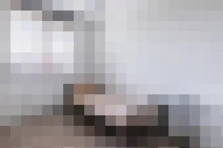 Hoekakker 4 Netersel thumbnail 19