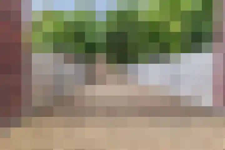 Hoekakker 4 Netersel thumbnail 27