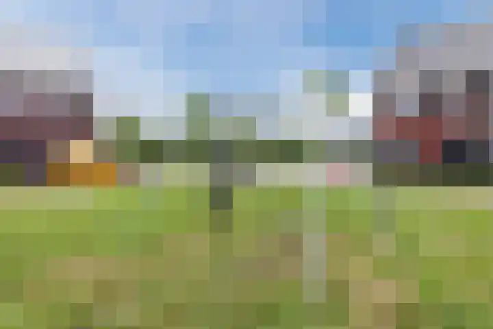 Hoekakker 4 Netersel thumbnail 30