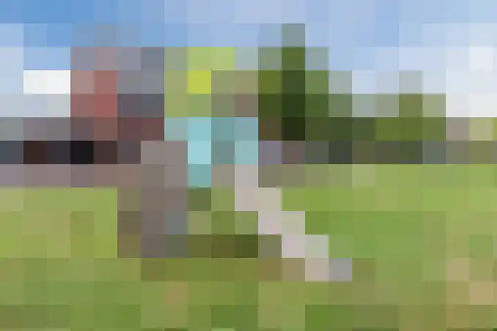 Hoekakker 4 Netersel thumbnail 31