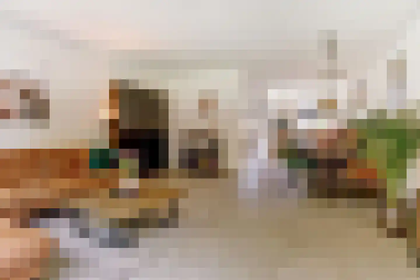 Hoekakker 5 Netersel thumbnail 16