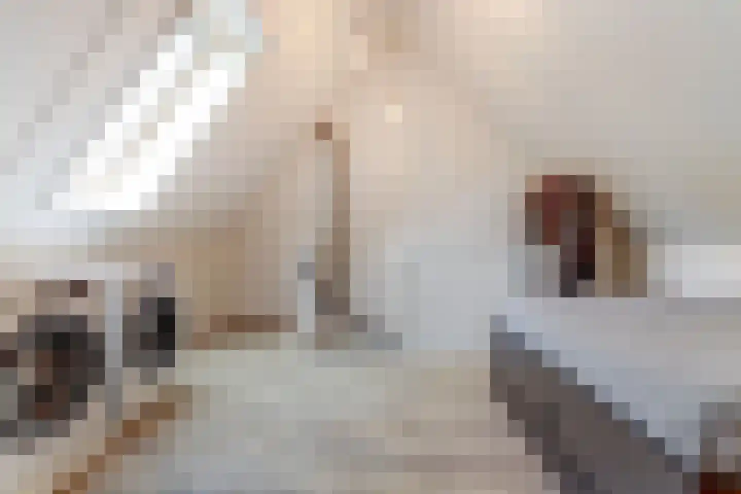 Hoekakker 5 Netersel thumbnail 37