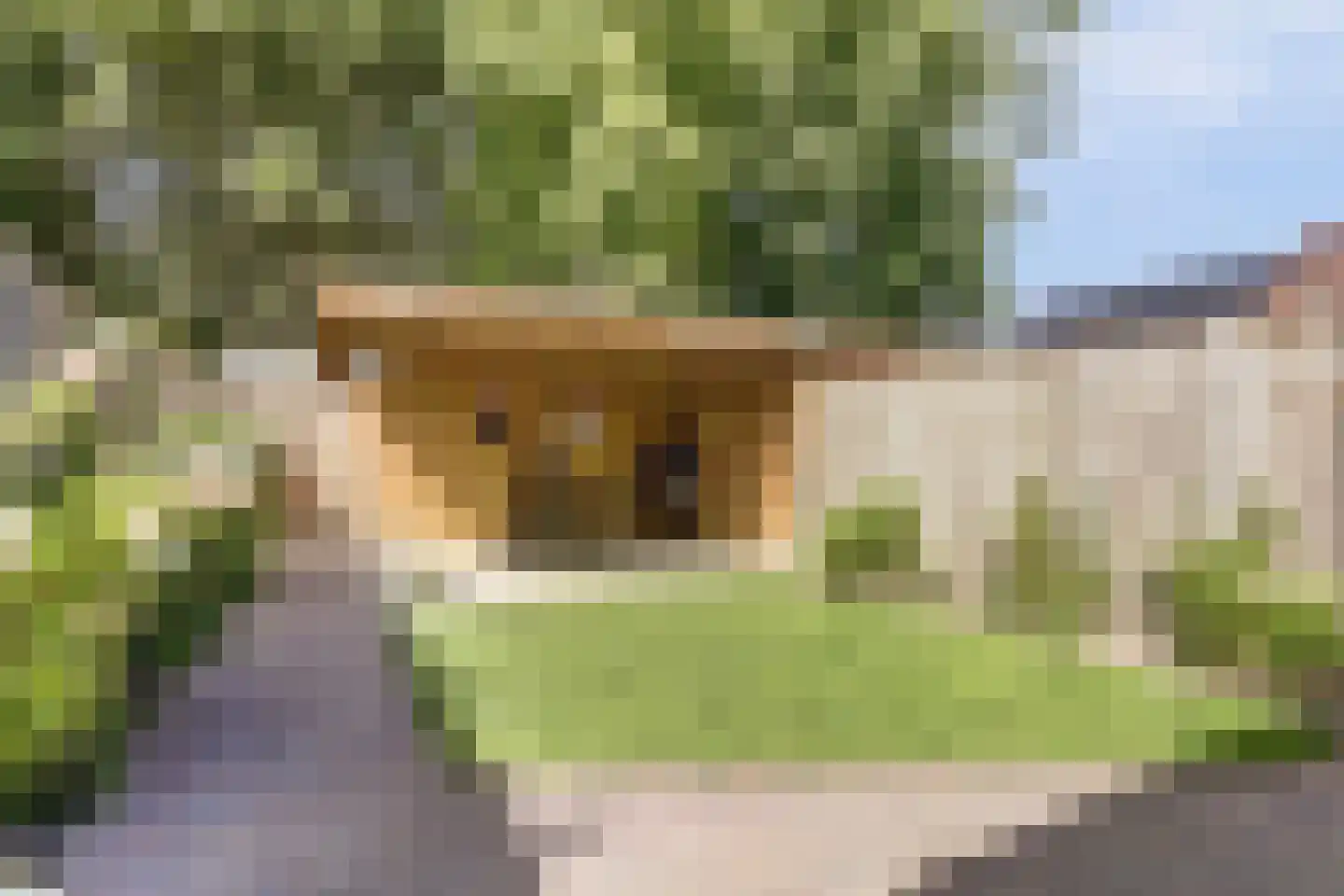 Hoekakker 5 Netersel thumbnail 41