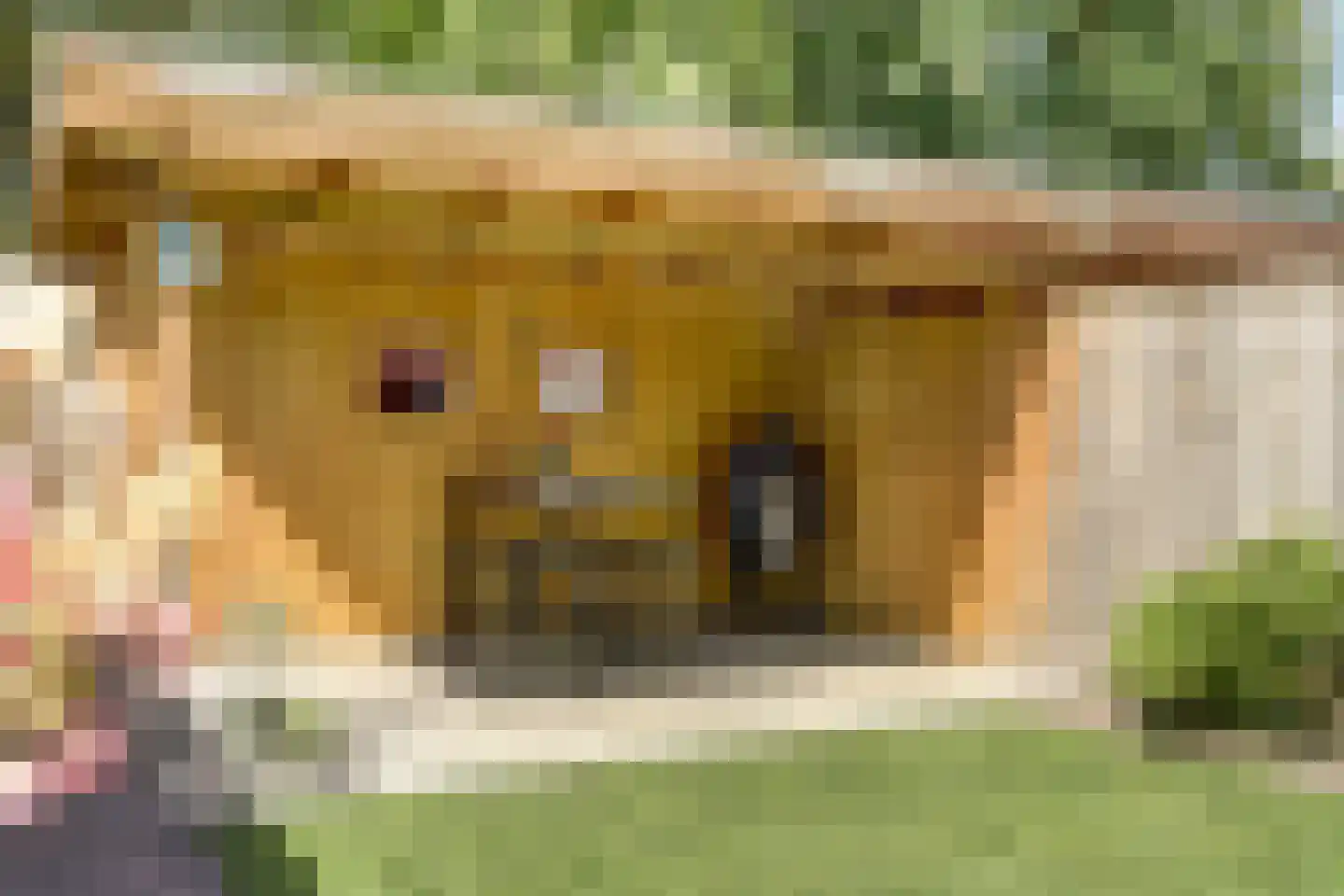 Hoekakker 5 Netersel thumbnail 43