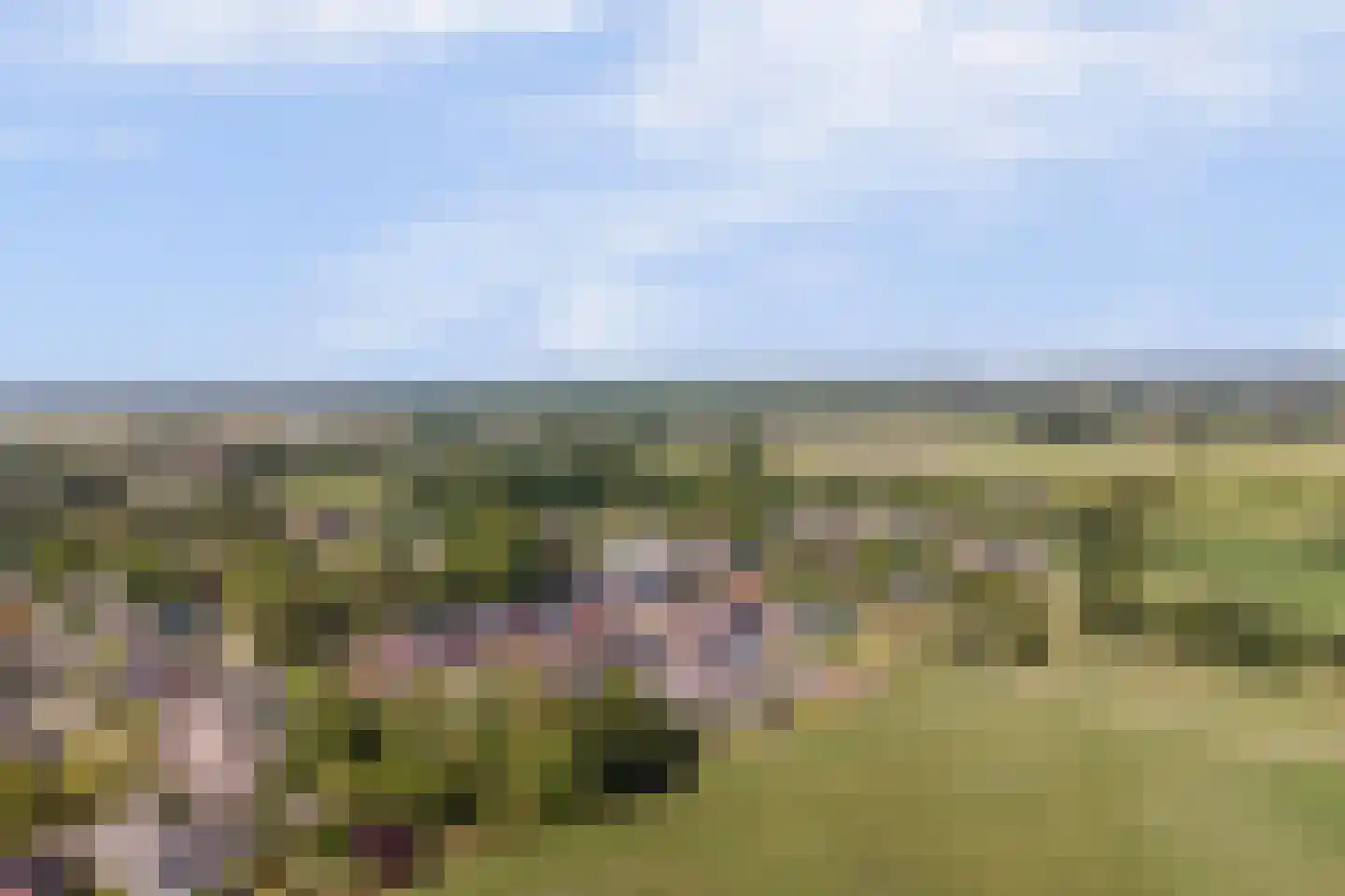 Hoekakker 5 Netersel thumbnail 49