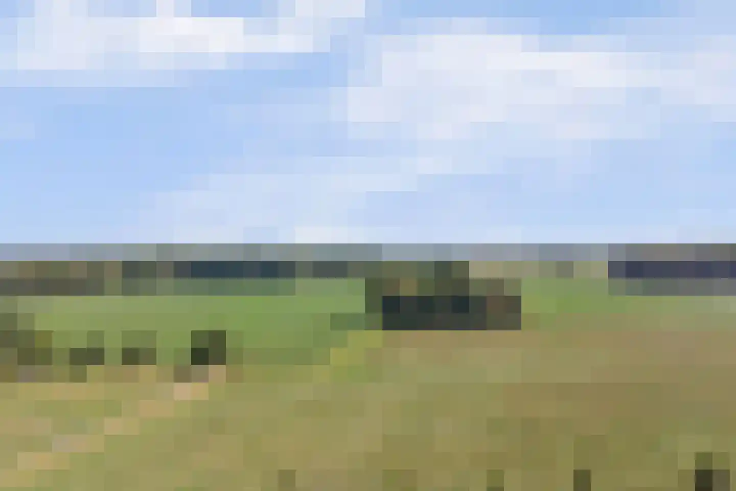 Hoekakker 5 Netersel thumbnail 50