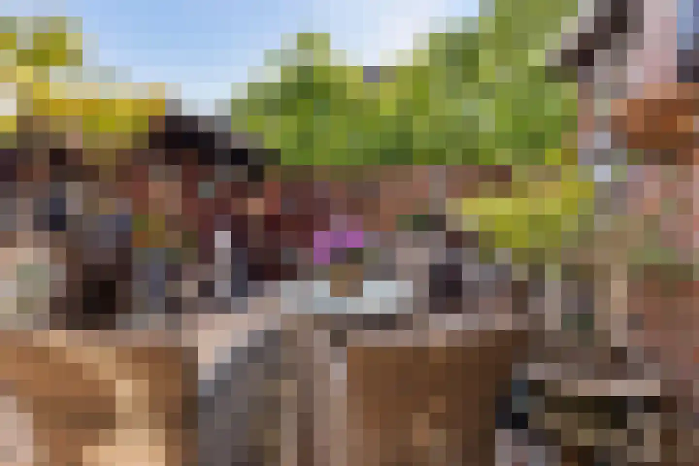 Hoekakkerweg 25 Eindhoven thumbnail 38