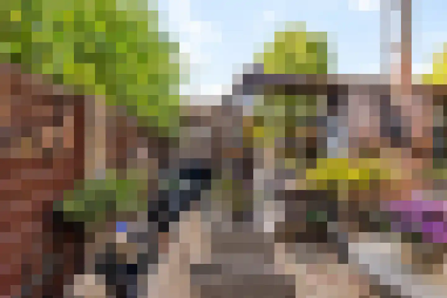 Hoekakkerweg 25 Eindhoven thumbnail 39