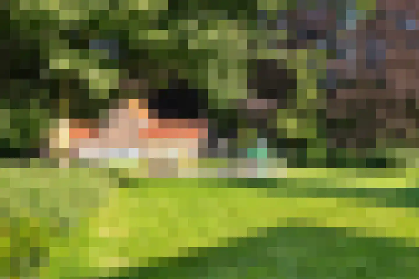 Hoekakkerweg 25 Eindhoven thumbnail 45