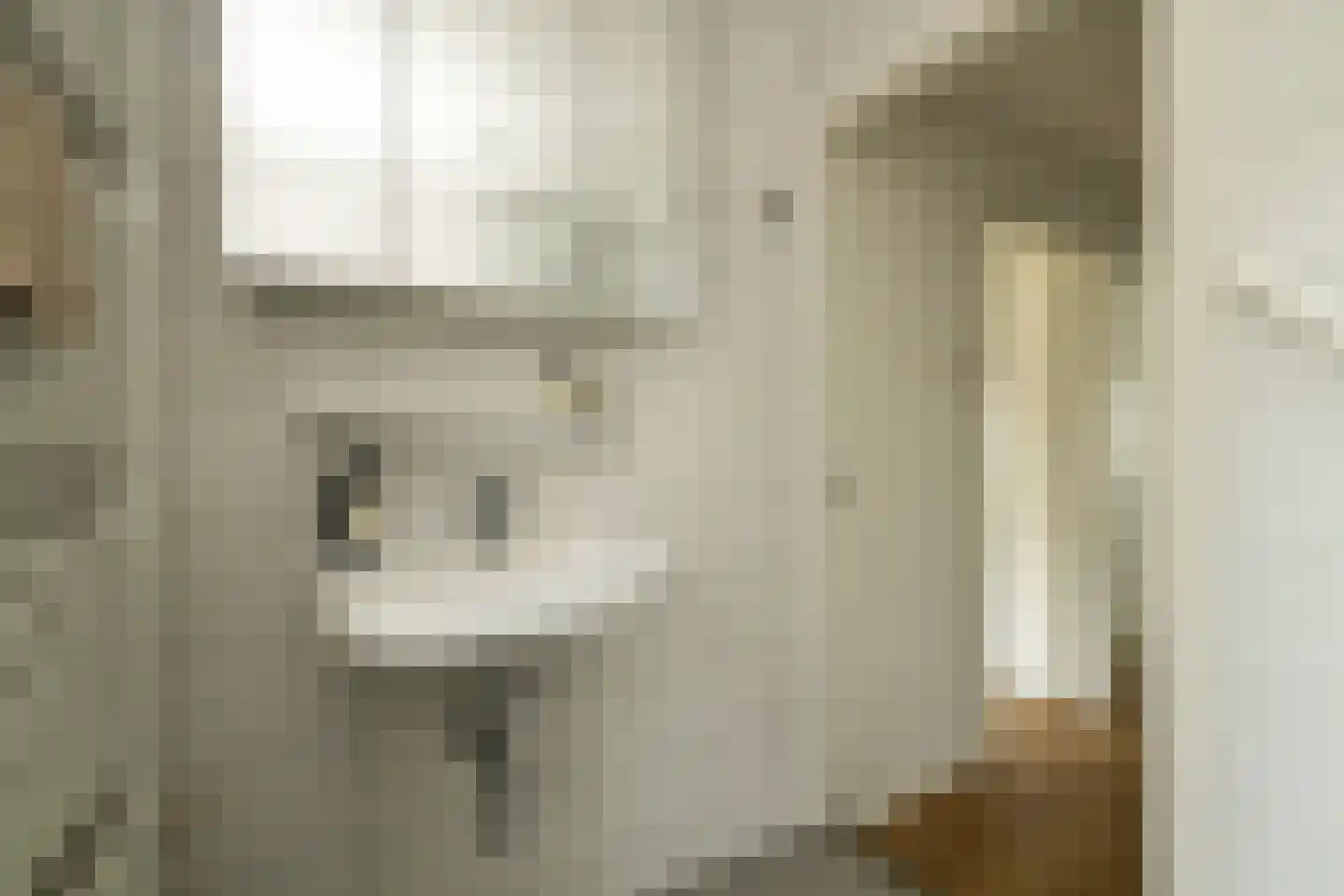 Hoekblok 54 Wateringen thumbnail 22