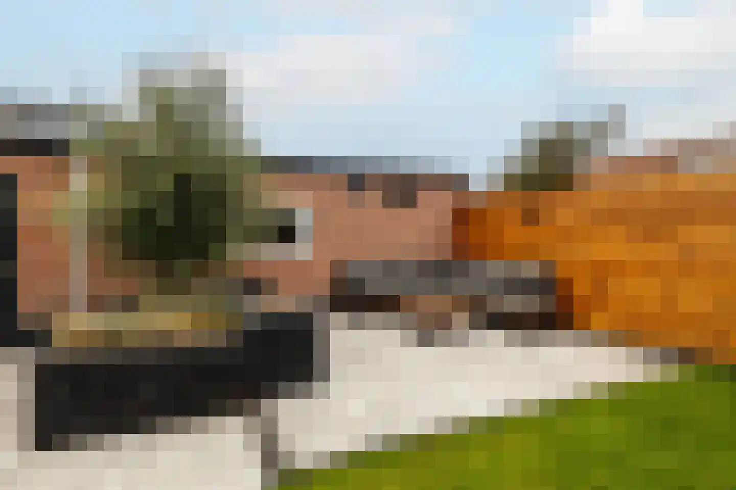 Hoekblok 54 Wateringen thumbnail 36