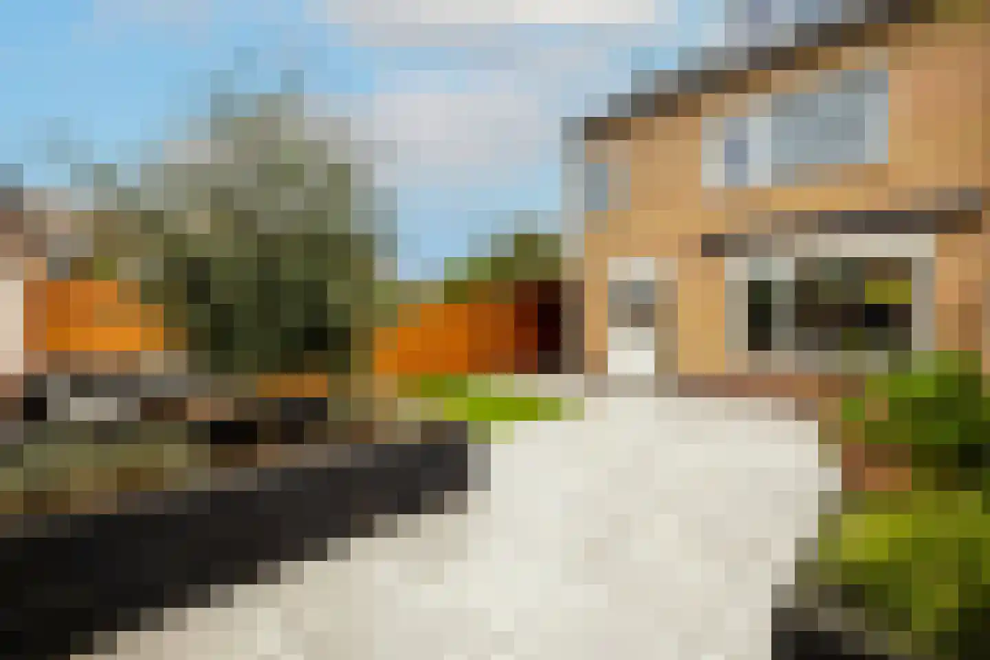 Hoekblok 54 Wateringen thumbnail 38