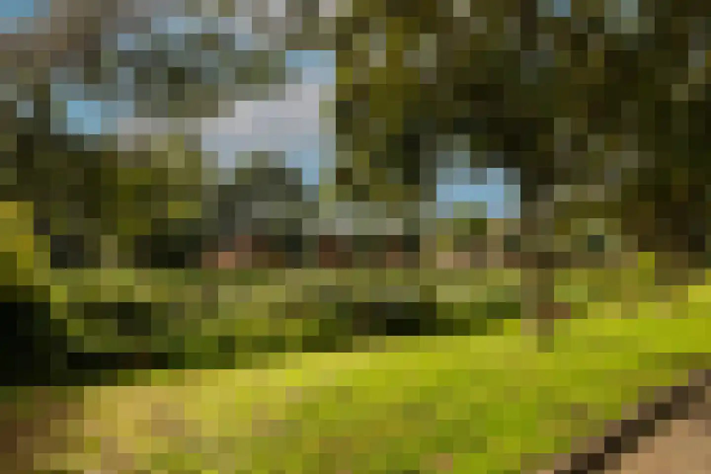 Hoekblok 54 Wateringen thumbnail 39