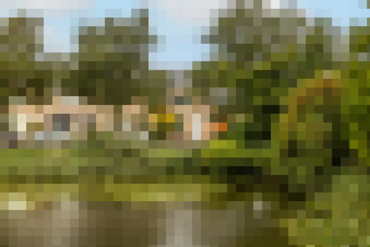 Hoekblok 54 Wateringen thumbnail 41