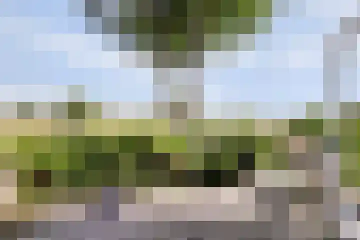 Hoekeinde 27 Sleeuwijk thumbnail 14