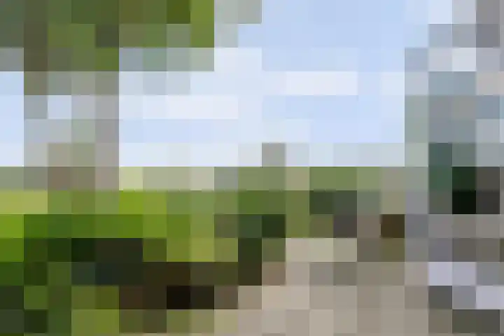 Hoekeinde 27 Sleeuwijk thumbnail 15