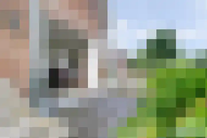 Hoekeinde 27 Sleeuwijk thumbnail 16