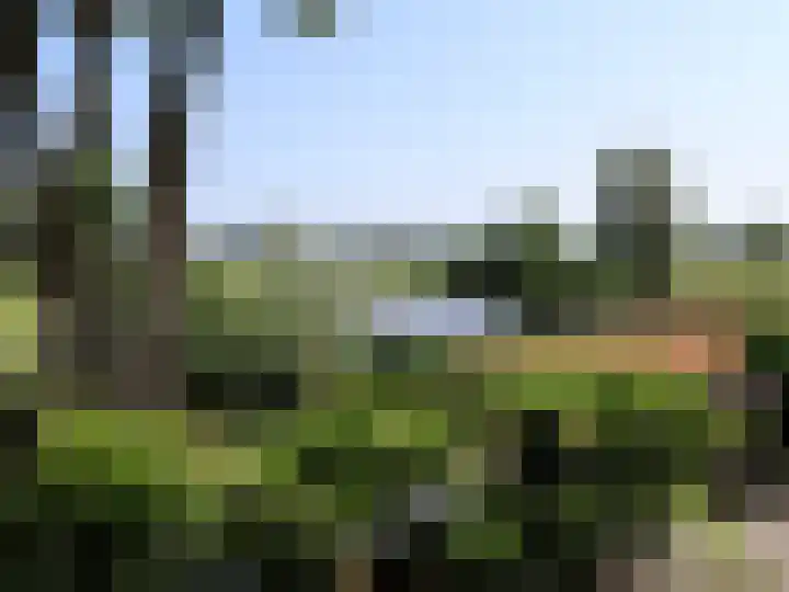 Hoekeinde 27 Sleeuwijk thumbnail 17
