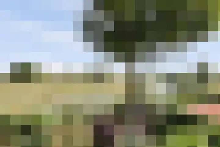 Hoekeinde 27 Sleeuwijk thumbnail 28