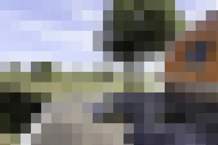 Hoekeinde 27 Sleeuwijk thumbnail 32
