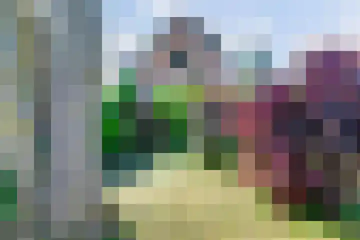 Hoekeinde 27 Sleeuwijk thumbnail 33