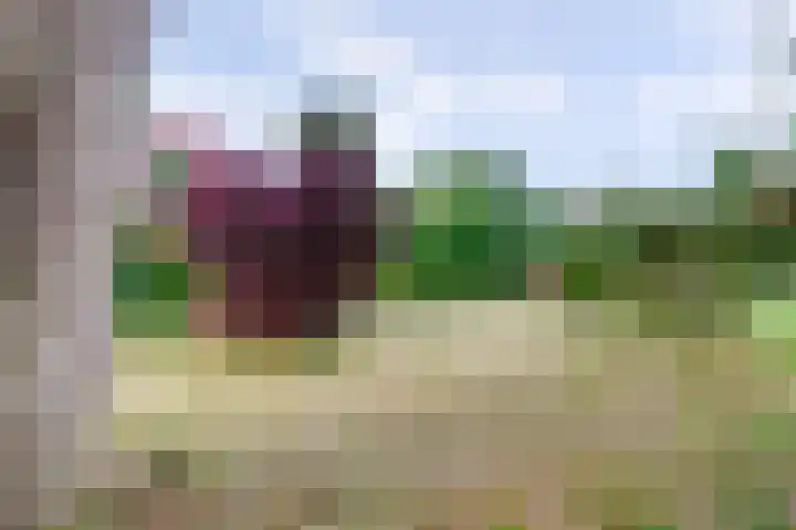 Hoekeinde 27 Sleeuwijk thumbnail 34