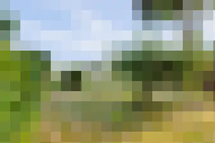 Hoekeinde 27 Sleeuwijk thumbnail 35