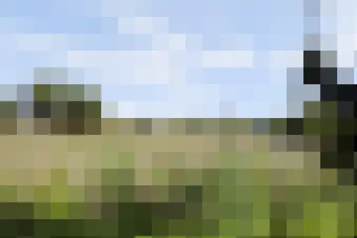 Hoekeinde 27 Sleeuwijk thumbnail 36