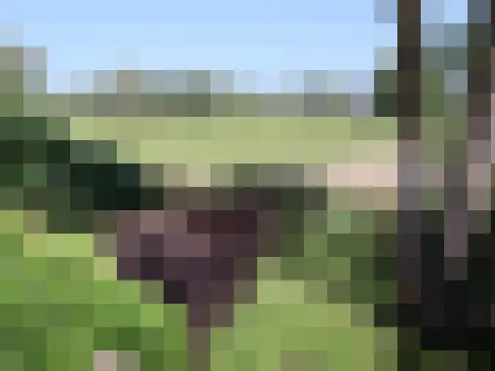 Hoekeinde 27 Sleeuwijk thumbnail 37