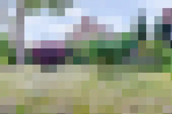Hoekeinde 27 Sleeuwijk thumbnail 38