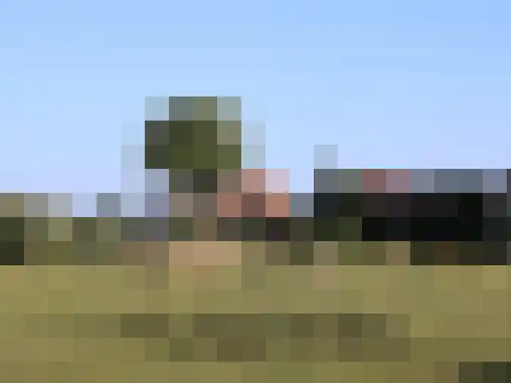 Hoekeinde 27 Sleeuwijk thumbnail 41