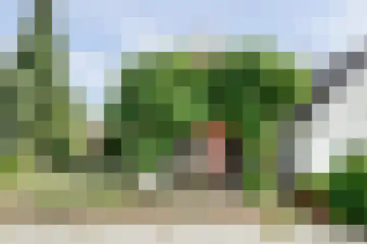 Hoekeinde 27 Sleeuwijk thumbnail 47