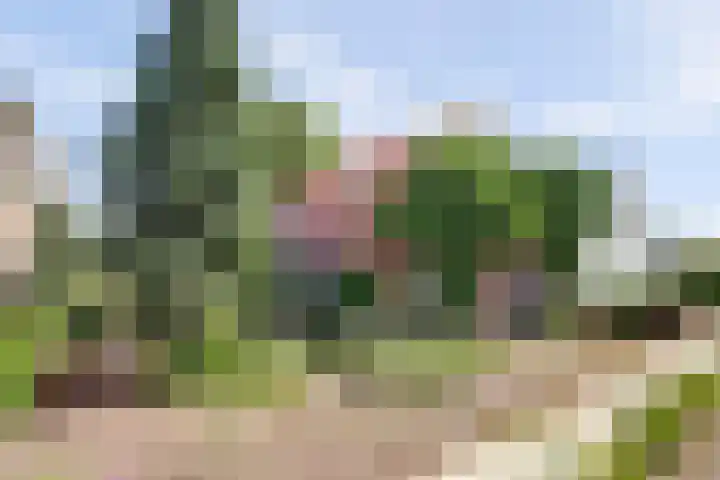 Hoekeinde 27 Sleeuwijk thumbnail 48