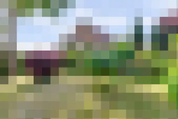 Hoekeinde 27 Sleeuwijk thumbnail 5