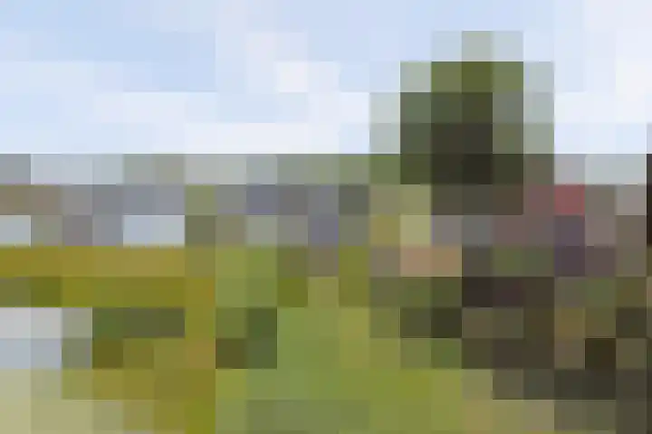Hoekeinde 27 Sleeuwijk thumbnail 52