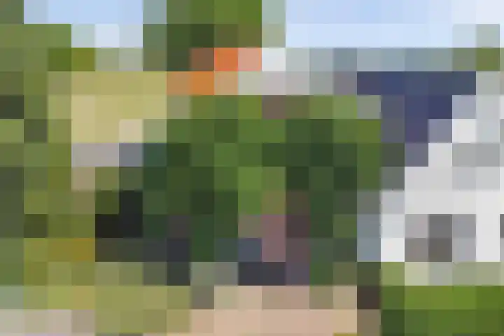 Hoekeinde 27 Sleeuwijk thumbnail 6