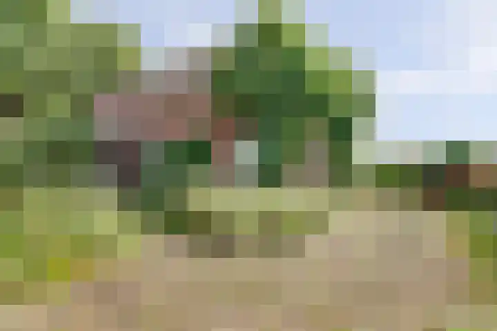 Hoekeinde 27 Sleeuwijk thumbnail 7