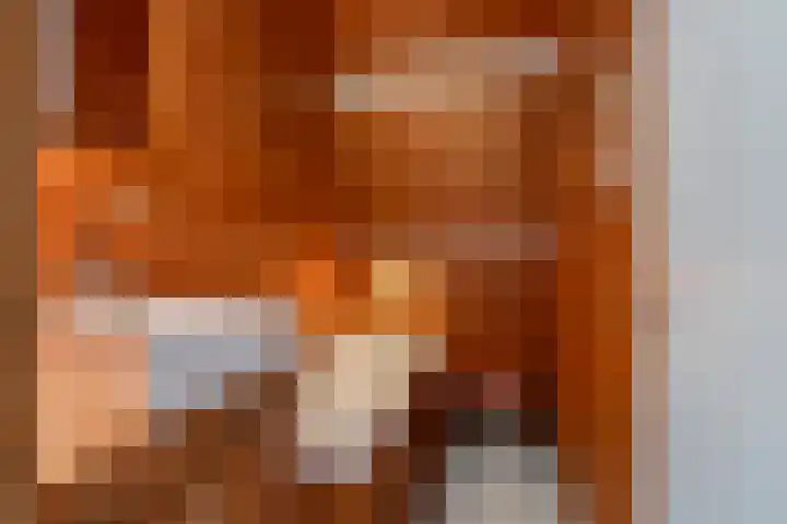 Hoekeinde 51 Sleeuwijk thumbnail 24