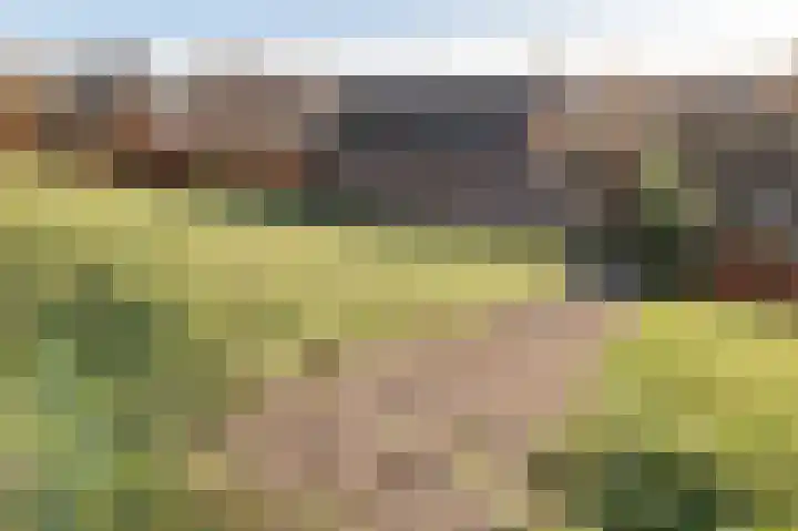 Hoekeinde 51 Sleeuwijk thumbnail 34
