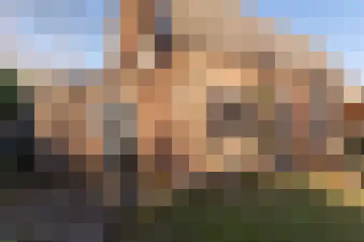 Hoekeinde 51 Sleeuwijk thumbnail 4