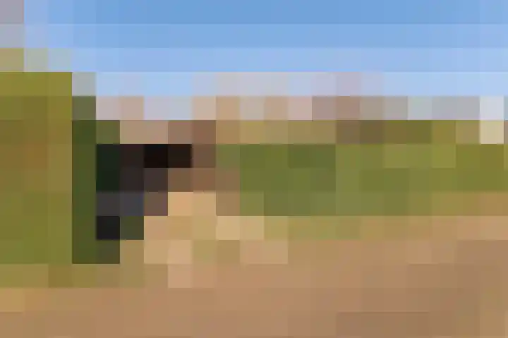 Hoekeinde 51 Sleeuwijk thumbnail 40