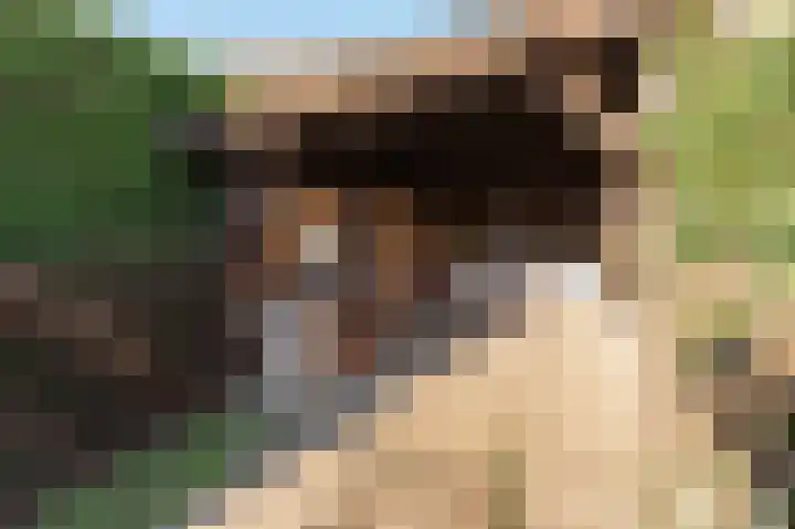 Hoekeinde 51 Sleeuwijk thumbnail 41