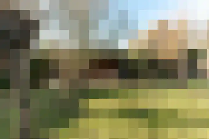 Hoekeinde 51 Sleeuwijk thumbnail 42