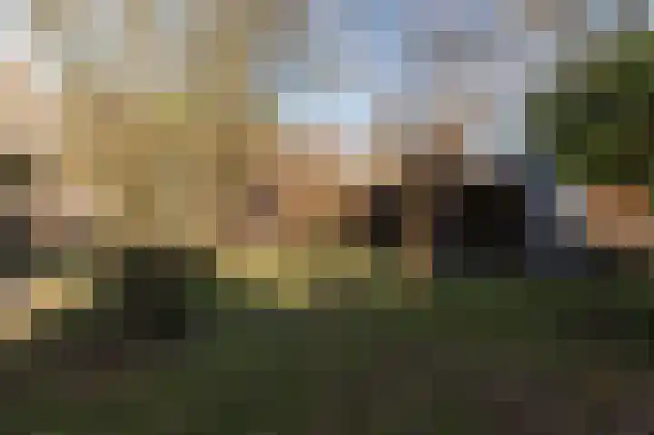 Hoekeinde 51 Sleeuwijk thumbnail 43
