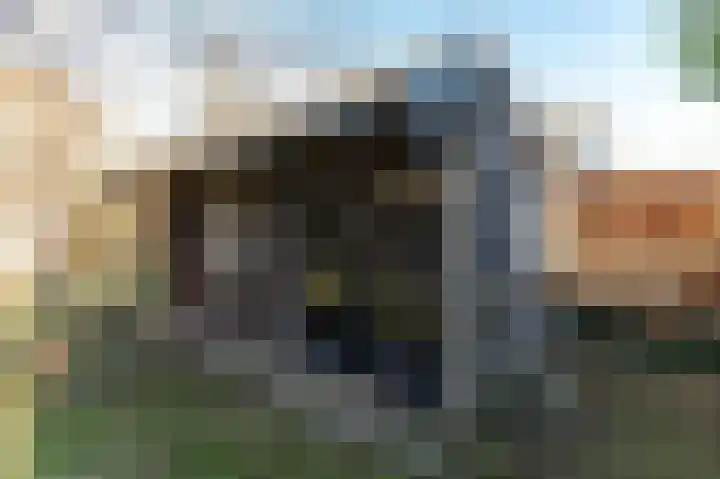 Hoekeinde 51 Sleeuwijk thumbnail 45