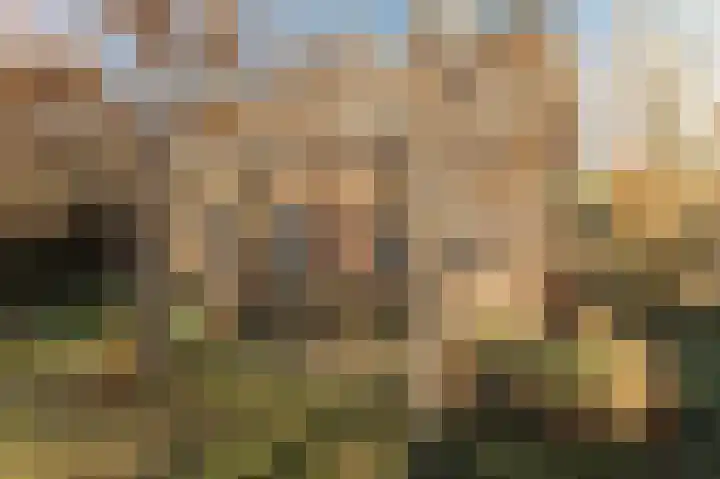 Hoekeinde 51 Sleeuwijk thumbnail 49